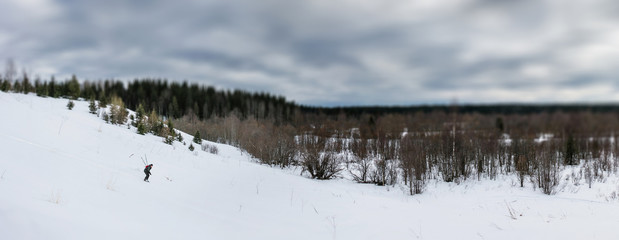 Panoramic view of skier down the hill in forest. Selective focus filter tilt-shift