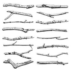 Set of Driftwood, ground floor hand drawn ink rustic design elements collection. Dry tree branches and wooden twigs. Vintage highly detailed classic ink drawings bundle art in engraved style. Vector. - obrazy, fototapety, plakaty