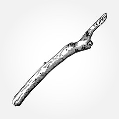 Hand drawn wood twig,  ink rustic design element. Dry wood tree