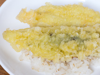 Japanese cuisine, fried fish on the rice called a Tendon in Japa