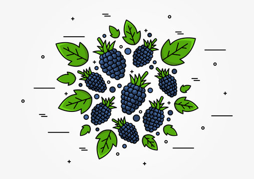 Blackberry line art vector concept