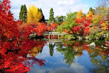 紅葉の永観堂