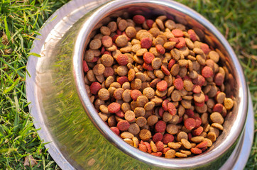 Closeup metal bowl with fresh dog food sitting on green grass, animal nutrition concept