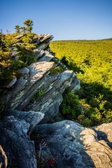 nature trail scenes to calloway peak north carolina