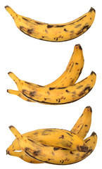 a plantain banana - obrazy, fototapety, plakaty