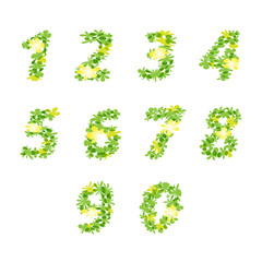 Numbers design with sweet flowers concept