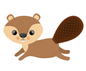 Beaver cartoon icon. Forest animal theme. Isolated design. Vector illustration