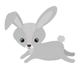 Rabbit cartoon icon. Forest animal theme. Isolated design. Vector illustration