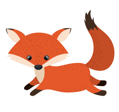 Fox cartoon icon. Forest animal theme. Isolated design. Vector illustration