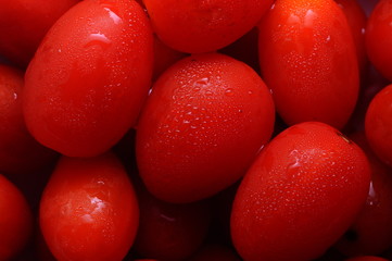 Close up of small red tomatoes 