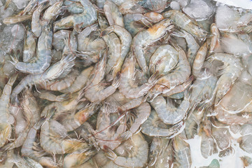 Fresh prawns at the market