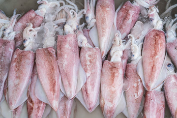 Fresh squid at the market