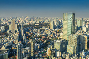 Skyline of Tokyo Cityscape, Japan