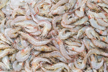 Fresh prawns at the market