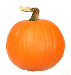 single medium pumpkin isolate on white background