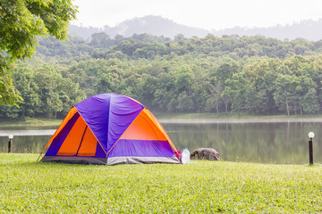 Dome tents camping in forest