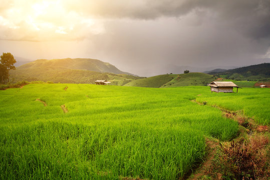 Nature background of the rice terraces(paddy field) at Mae-Jam Village , Chaingmai Province, during time the rains