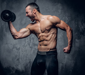  Muscular male doing biceps workouts.