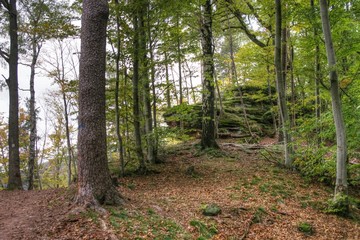 Rocher en grès dans la forêt
