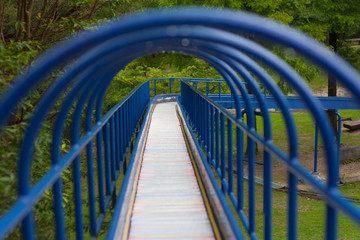 Slide located in the forest