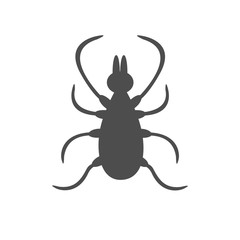 Tick insect silhouette. Mite deer ticks big icon. Dangerous black parasite. White background. Isolated. Flat design.
