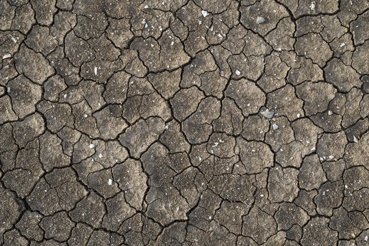 Drought land makes crack pattern