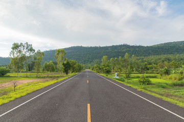 Summer country road,Curving road between fields and trees,Asphalt road and forest