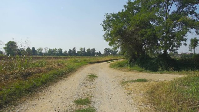 Walking in the countryside in a sunny day