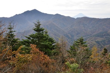 Fototapeta premium 鶏冠山から大菩薩嶺と富士山の遠望