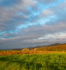 Obraz premium The field with a green and mowed grass at sunset