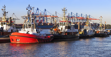 Tug Boats in the early morning sun, Port of Hamburg