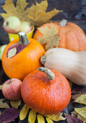 Fresh autumn pumpkins