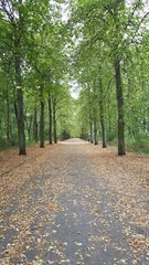 Jesień