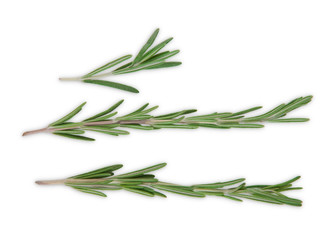 Rosemary herb closeup isolated on white background