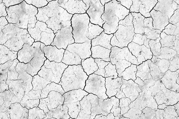 Cracked soil texture