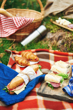 picnic at forest