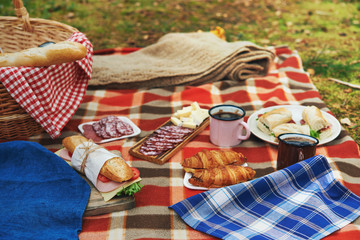 picnic at forest
