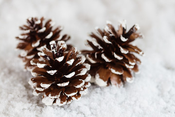 Christmas pine cones decoration on snow