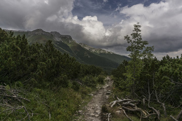 Obraz premium Beautiful landscape in Belianske Tatry. Slovakia 