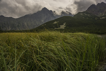 Obraz premium Beautiful landscape in the Tatra Mountains. Slovakia