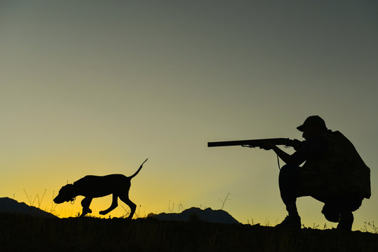 k&ouml;pekle kuş avı yapan avcı