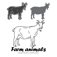 Hand drawn goat silhouette. Farm animals vector illustration.