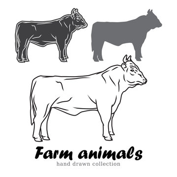 Hand drawn bull silhouette. Farm animals vector illustration. 