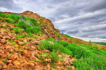 Geothermally active Haukadalur Valley in Iceland