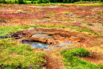 Geothermally active Haukadalur Valley in Iceland