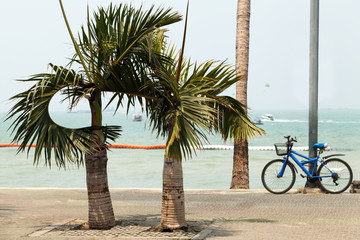 Peaceful tropical seascape with bike and palm trees. Bicycle on a beach road with nobody. Romantic vacation at the sea