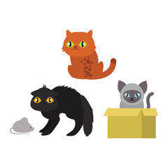 Cats collection vector silhouette. Cute domestic cats different animals. Different cats young adorable tail symbol playful paw. Cartoon funny standing drawing domestic pussy characters set.