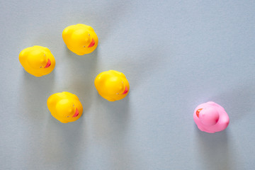 Discrimination concept with different color rubber ducks
