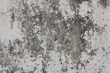 Grunge cement wall, For texture and background.