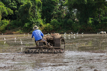 Worker uses a machine to tilling the soil for planting rice